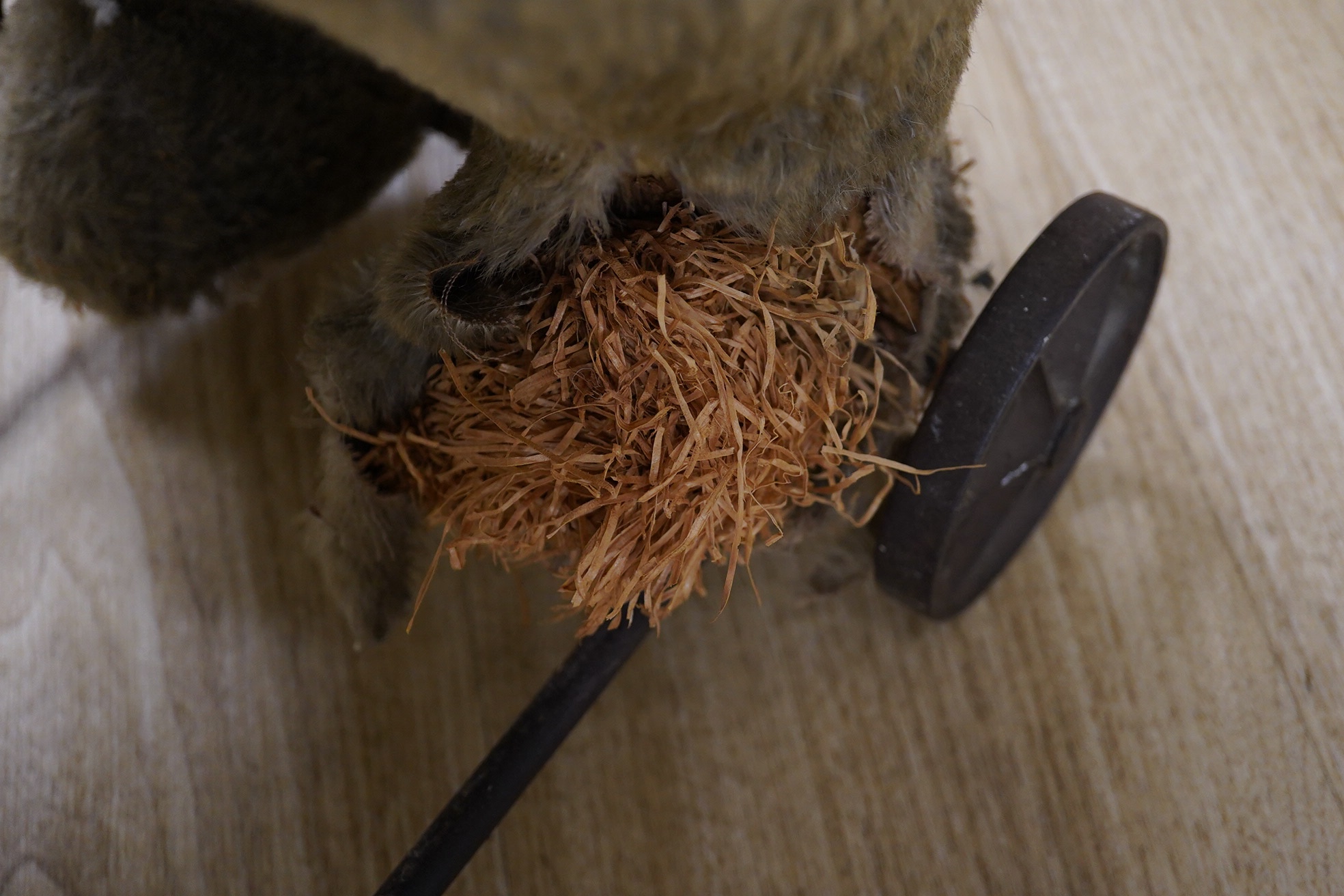 An early 20th century possibly Steiff bear on wheels, repairs to face, straw seeping from leg, squeeze working, 78cm head to tail. Condition - poor to fair.